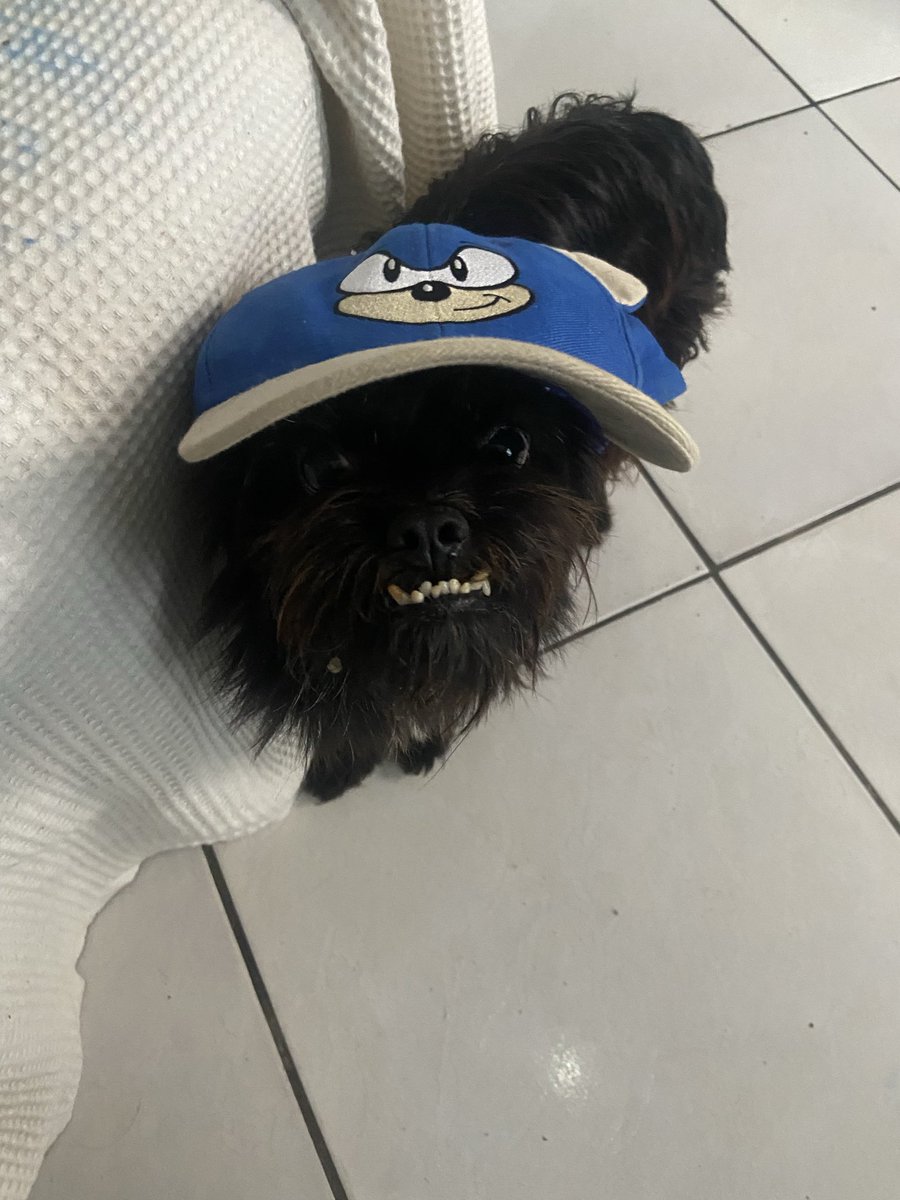 _Tilli7's tweet photo. Sonic https://t.co/dTb3ydCSzy