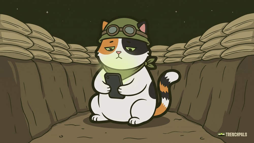 Trenchpalsapp's tweet photo. 3am in the trenches and the only one still answering the group chat is the cat https://t.co/5ntrUslplK