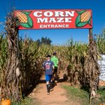 Photo by Patterson Farm, Inc. (@Patterson_Farm)