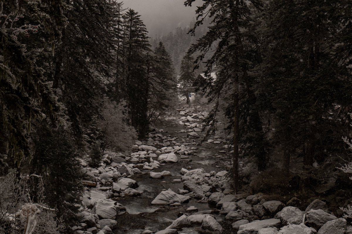 itsrapha83's tweet photo. Thinking about that time I went for a hike and the world turned monochrome https://t.co/8sozKQF9IR