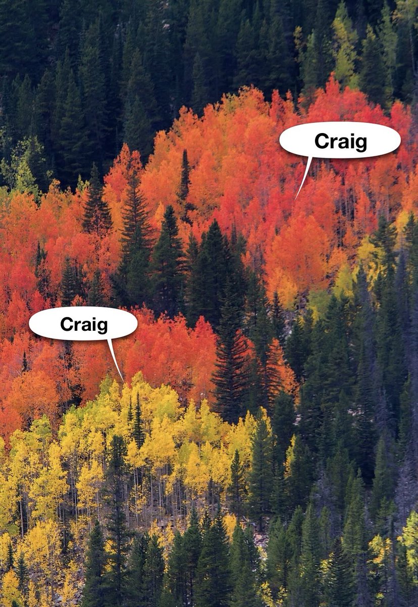 ClubCraig's tweet photo. Have A Good Saturday

Enjoy Life
Go Outside

Visit A Friend 
Buy Someone Lunch

Ignore Internet Drama For A Day
Do Not Read Your Algorithmic Feed 

You Control Your Own World 
Media Rage Bait Is For The Weak

You Can Be Craig Too

#Craig
#SaturdayVibes #USA https://t.co/xord4YczC1