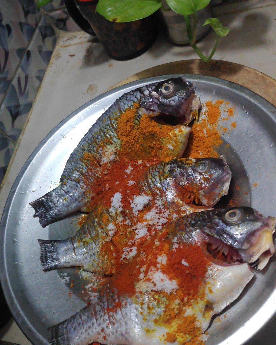 KayleeGarcia's tweet photo. তাজা মাছ মশলা মাখিয়ে ভাজার প্রস্তুতি থেকে গরম গরম পরিবেশন—পুরো আয়োজনটাই জিভে জল আনা। ঘরের রান্নার স্বাদ আর নিজের হাতে তৈরি খাবারের আনন্দই আলাদা। সবাইকে শুভেচ্ছা। https://t.co/kecLvvlatR