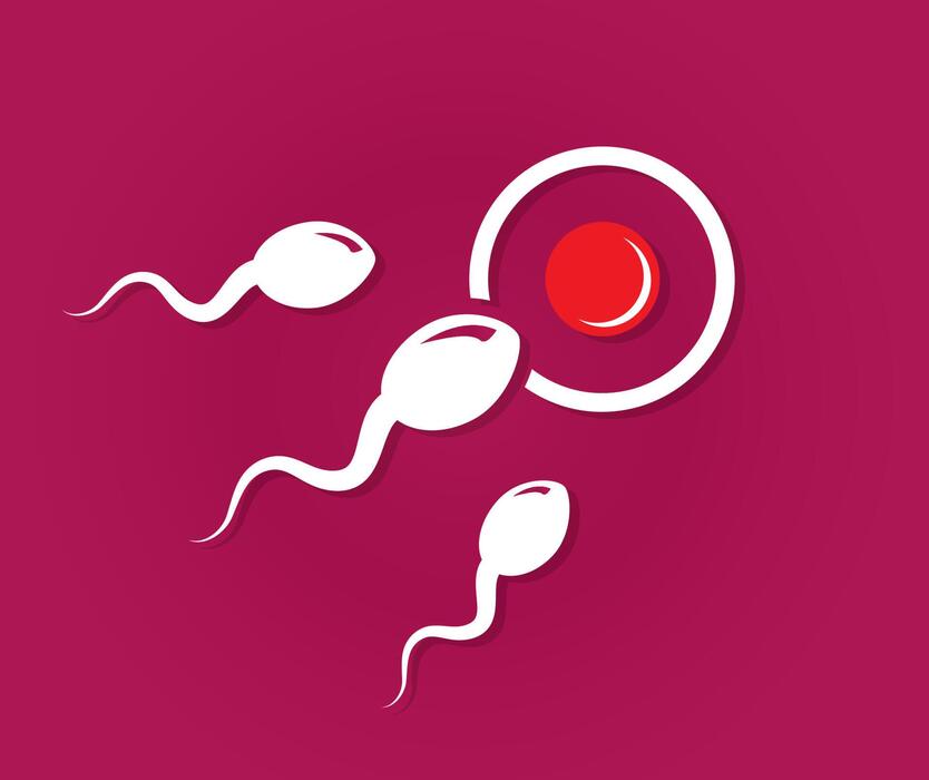 MindfulDIY's tweet photo. 10 DAILY MISTAKES THAT ARE KILLING YOUR SPERM

Most men are doing at least 3 of these every week without knowing it.

1. Tight underwear and tight trousers https://t.co/QgIPDofXct
