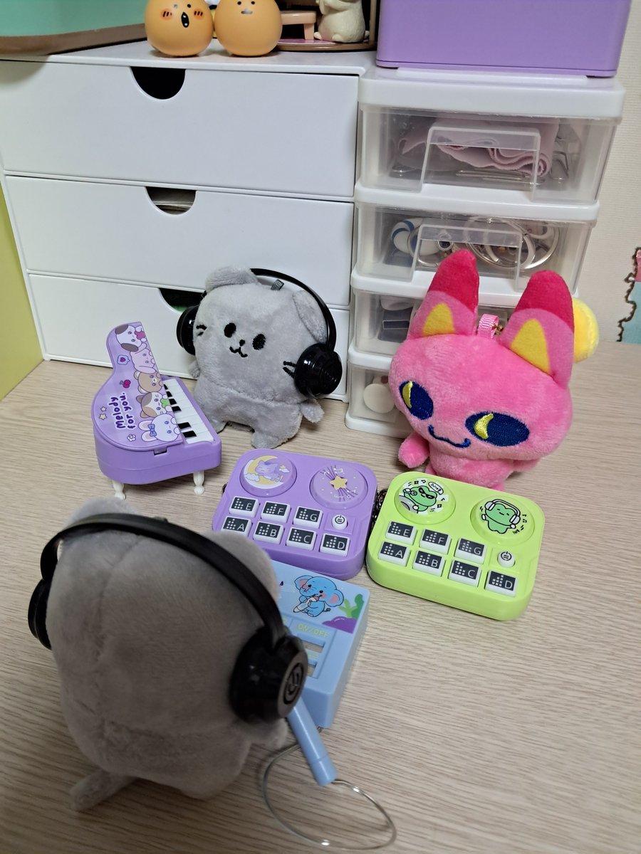 annachartland's tweet photo. 회색고양이 형제와 미야오치는 음악연습중🎵 DJ턴테이블 하나 더 샀어요. 비트 좋아요 들어보세요🎧 https://t.co/vYipCRqm4b