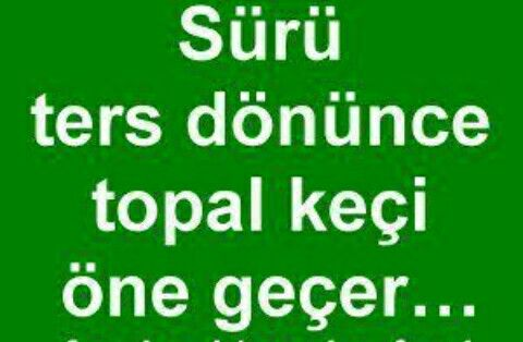 Akinci171717's tweet photo. lafın dibi :) https://t.co/6cuPU3c83g