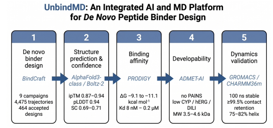 BiologyAIDaily's tweet photo. UnibindMD: An integrated AI and molecular dynamics platform for de novo peptide binder design

1. The paper presents UnibindMD, a target-to-lead computational workflow that tries to fix a common failure mode in DL-only binder design: confidence metrics (ipTM/pLDDT) can be self-consistent yet not physically stable, so a “high-confidence” complex may still fall apart under physics-based simulation.

2. UnibindMD chains five orthogonal stages into one platform: BindCraft for de novo peptide binder generation, AlphaFold3-class confidence assessment (plus an intended Boltz-2 cross-check), PRODIGY for binding free-energy estimates, ADMET-AI for developability screening, and explicit-solvent all-atom MD (GROMACS/CHARMM36m) for stability validation.

3. The demonstration focuses on Andes virus (ANDV), motivated by high fatality rates, a reported 2026 cruise-ship outbreak, and no approved therapeutics. Three intervention points were chosen: the viral Gn-Gc glycoprotein complex (entry; PDB 9P3I), the viral L-protein endonuclease domain (cap-snatching; PDB 6Q99), and the host VEGFR2 kinase (vascular permeability; PDB 2XIR).

4. Across nine BindCraft campaigns (4,475 trajectories), the platform produced 464 accepted peptide binders, with acceptance rates spanning 2.3–67.6% depending on target and hotspot constraints. 6Q99 was most tractable (up to 67.6% acceptance), while VEGFR2 was hardest (2.3–3.2%) but still produced the single highest-scoring designs (up to ipTM 0.94 and pLDDT 0.94).

5. A notable design takeaway is that “more hotspots” did not monotonically improve yield: over-specifying constraints could reduce acceptance. The authors suggest systematic single-hotspot scans followed by combining productive residues, rather than committing early to many-constraint campaigns.

6. Three top-ranked leads (one per target) were advanced to downstream validation. All were helical peptides with shape complementarity ~0.69–0.71, lengths 31 (Gn-Gc), 34 (6Q99), and 39 (VEGFR2), and design-stage ipTM of 0.87–0.94.

7. PRODIGY predicted nanomolar-to-submicromolar binding for these three leads: ΔG from −9.1 to −11.1 kcal/mol, corresponding to Kd ≈ 8 nM–0.2 µM, providing an affinity estimate that is separate from AlphaFold-style confidence scores.

8. ADMET-AI profiling flagged what is expected for large polar peptides (3.5–4.6 kDa; very high TPSA): negligible oral bioavailability and no BBB penetration. It reported no PAINS alerts, with generally low predicted CYP/hERG/DILI risk, while noting moderate AMES flags to monitor and typical peptide-associated BRENK/NIH alerts.

9. The strongest “orthogonal check” in this study is explicit-solvent MD: all three peptide–target complexes stayed bound over 100 ns unrestrained simulations. Reported stability included receptor Cα RMSD ≤2.6 Å, peptide fold retention (75–82% helicity), and ≥99.5% of frames preserving more than half of initial interface contacts; one system (Gn-Gc) even increased interface contacts during relaxation (221 → 288).

10. Boltz-2 (AlphaFold3-class) inference was planned as an independent structure prediction cross-check, but did not complete due to an offline environment dependency issue (missing cuequivariance_torch CUDA kernel). The paper reports this transparently as “in progress” and positions MD as the compensating independent validation step in the current results.

📜Paper: https://t.co/gcmbC4lSvN
#ComputationalBiology #ProteinDesign #PeptideDesign #MolecularDynamics #GROMACS #AlphaFold #BindCraft #ADMET #Hantavirus #AndesVirus