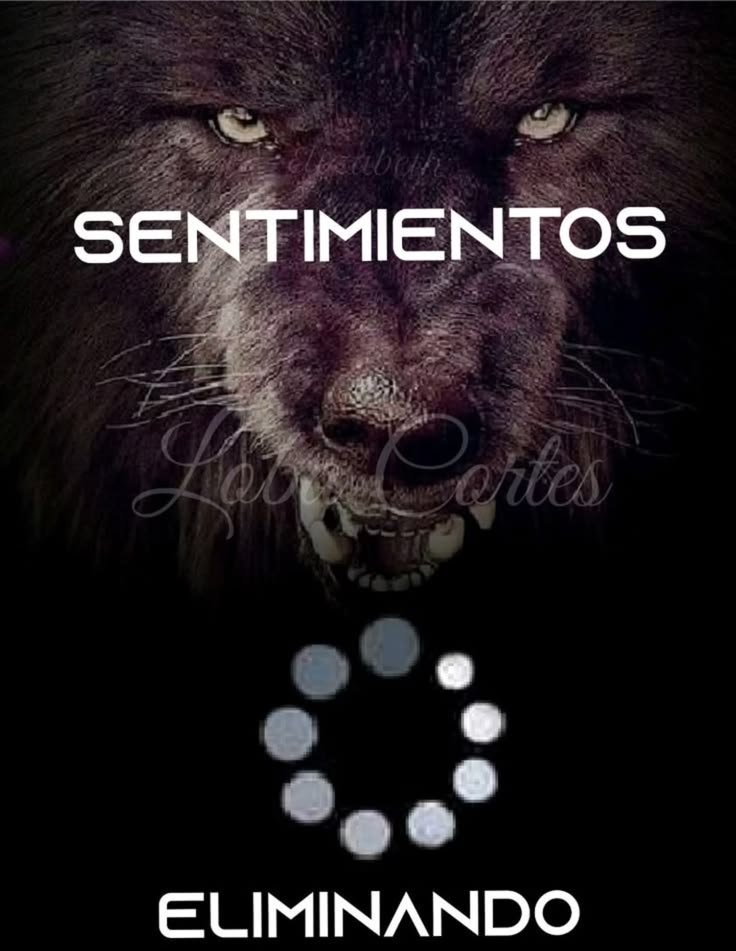 DeadpoolPeruano's tweet photo. @lautinho638 Chale, no podré dar mi opinión en nada 🥀 https://t.co/Z5Mp2OKP8H