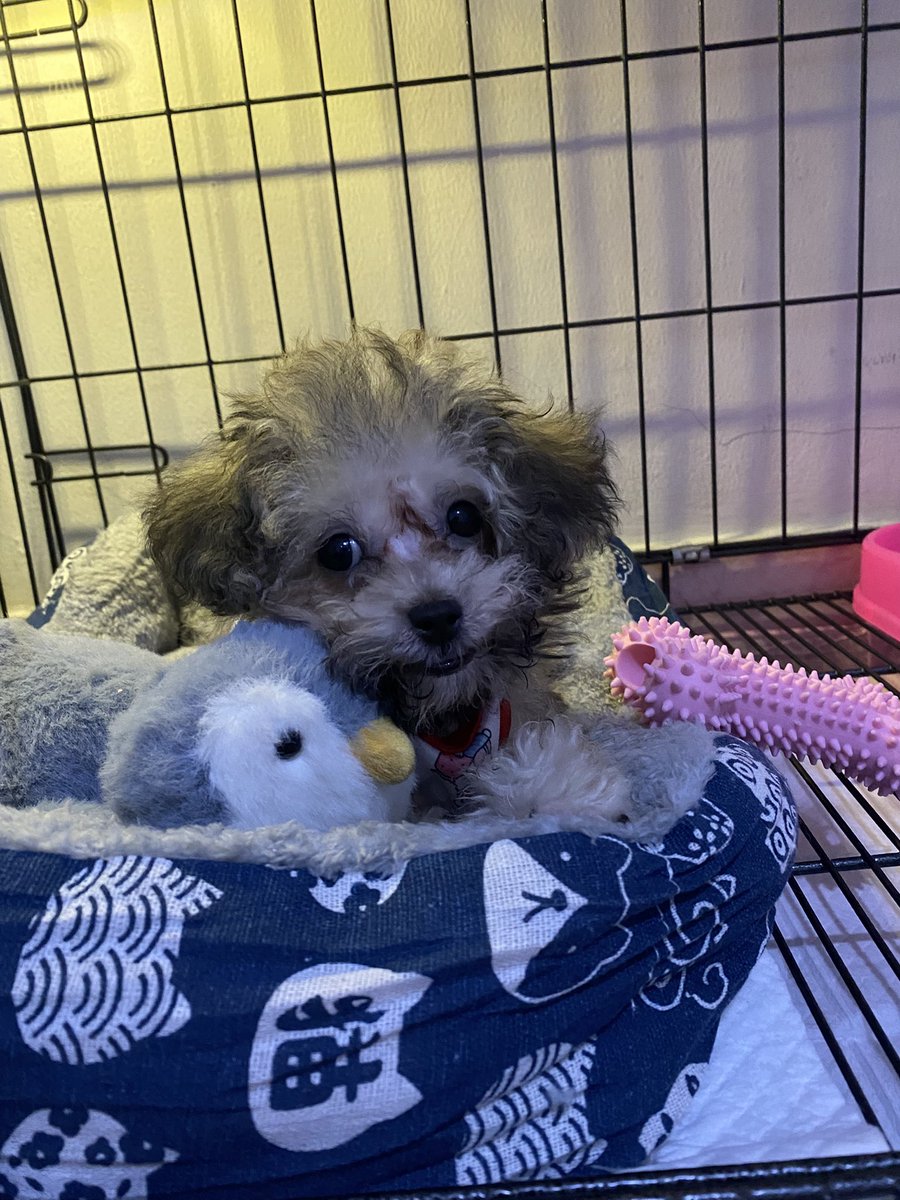 pewmiilu's tweet photo. @ileaduso ready to sleep👋🏻 https://t.co/UrLz1U0vle