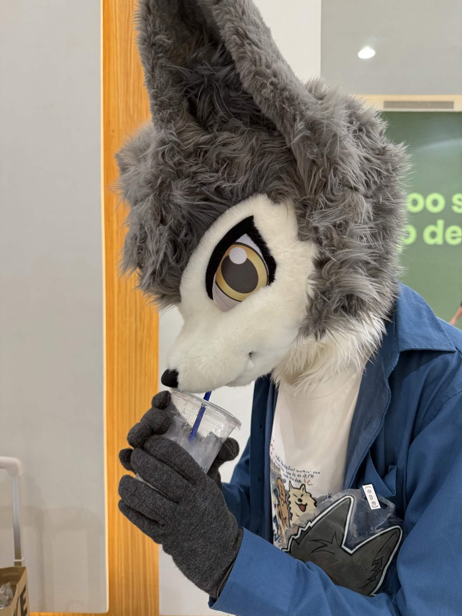 windy_solstice's tweet photo. Fursuiting has been so much fun <3 https://t.co/5NOmClv0nw