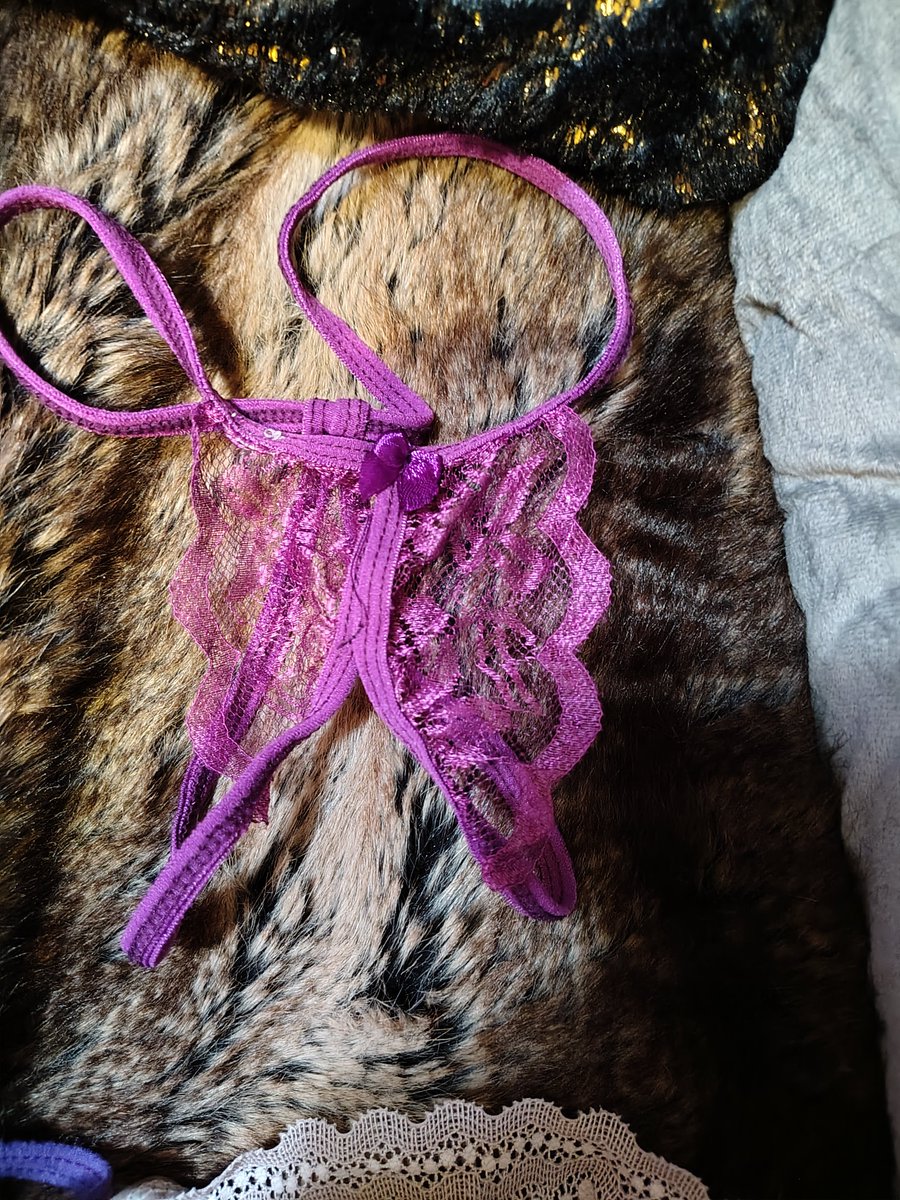PantyParadox's tweet photo. Which purple panties r ur favorite? U can message me in my shop n I can model ur favorite pair or all @SGrayOfficial https://t.co/loN3IcLtpO