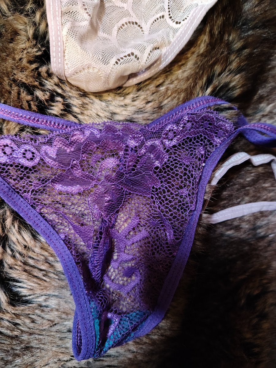 PantyParadox's tweet photo. Which purple panties r ur favorite? U can message me in my shop n I can model ur favorite pair or all @SGrayOfficial https://t.co/loN3IcLtpO