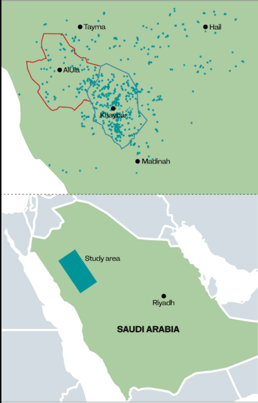 lefineder's tweet photo. 7000 years ago, during the Holocene Humid Period, when North Arabia was grassland, herders constructed over 1,000 rectangular structures in the region. Known as 'mustatils,' these contain the remains of sacrificed animals, particularly cattle. https://t.co/CITElYtf25
