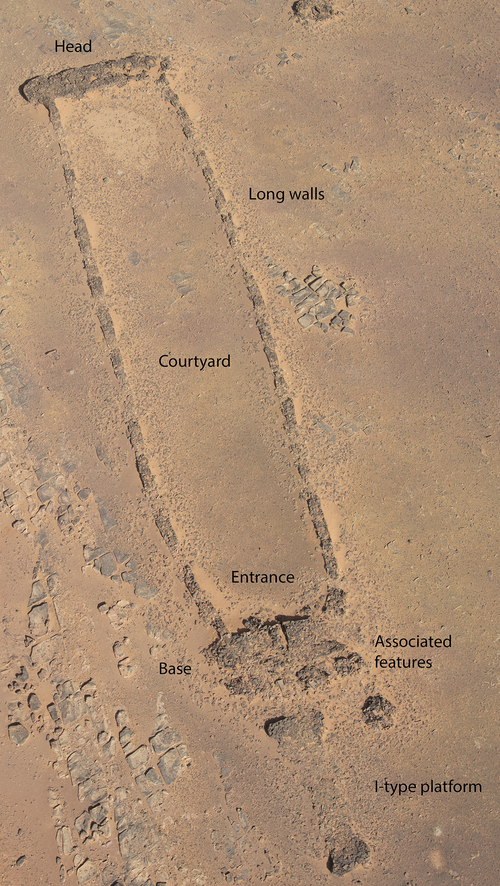 lefineder's tweet photo. 7000 years ago, during the Holocene Humid Period, when North Arabia was grassland, herders constructed over 1,000 rectangular structures in the region. Known as 'mustatils,' these contain the remains of sacrificed animals, particularly cattle. https://t.co/CITElYtf25