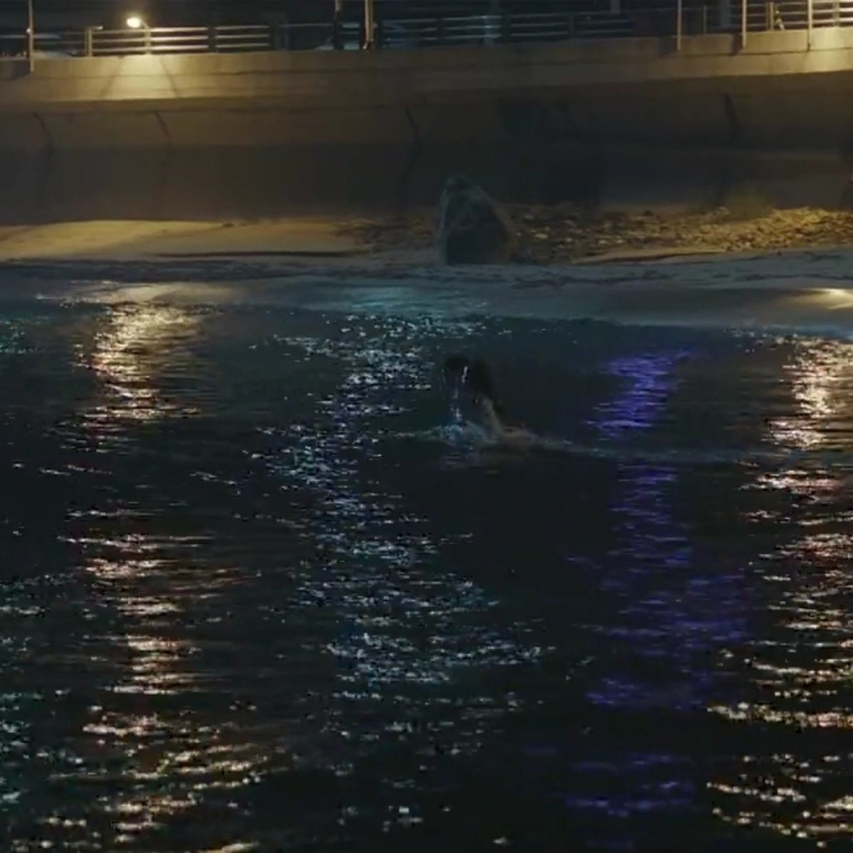 munhanas's tweet photo. Woojae seeing the twins do some bullshit in the water while he's ready to die a third time I'm crying 

#DiveIntoYouEp9 https://t.co/7uzKrxHEk1