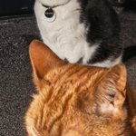 Photo by Kount Kevin and Scary Smudge (@KevinandSmudge)