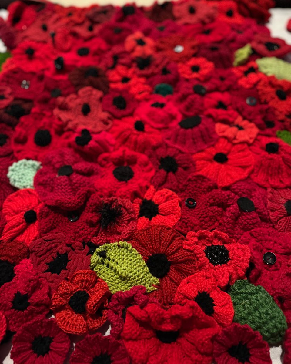 CommunityAd's tweet photo. ❤️🌺 Chelmsford’s First Poppy Festival Features 75,000 Handmade Creations!

Communities across the district have spent months knitting and sewing to create an amazing 75,000 poppies for the festival.

A big thank you to everyone who helped make it happen https://t.co/HV4m7eaJ1T