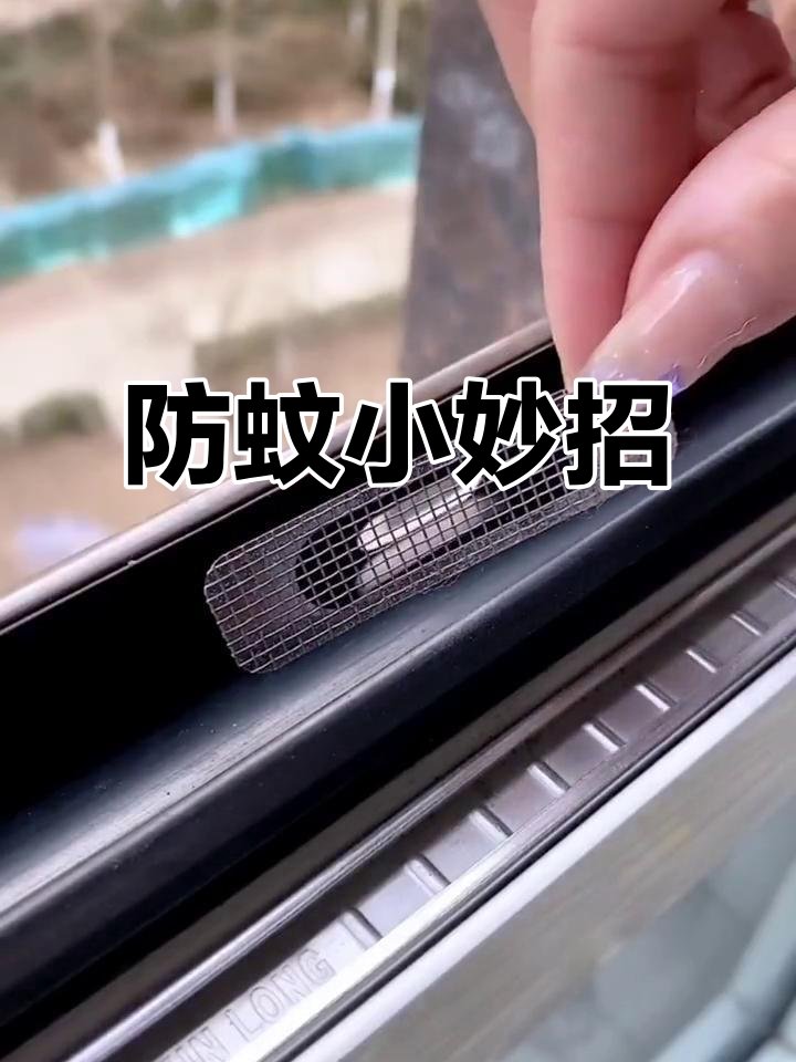 Yang_rp's tweet photo. [蚊が窓の隙間から侵入して、ドアに引っ掛かってしまった！]， https://t.co/XZtKhwpIsl