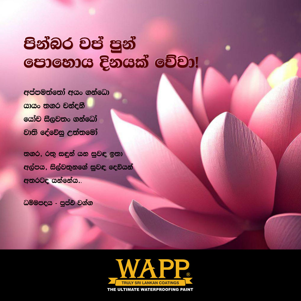 WappPaint's tweet photo. පින්බර වප් පොහෝ දිනයක් වේවා 🌕
#poyaday #wapp #waterproofing #weatherproofing #multicolor https://t.co/XL2ZIx0hVW
