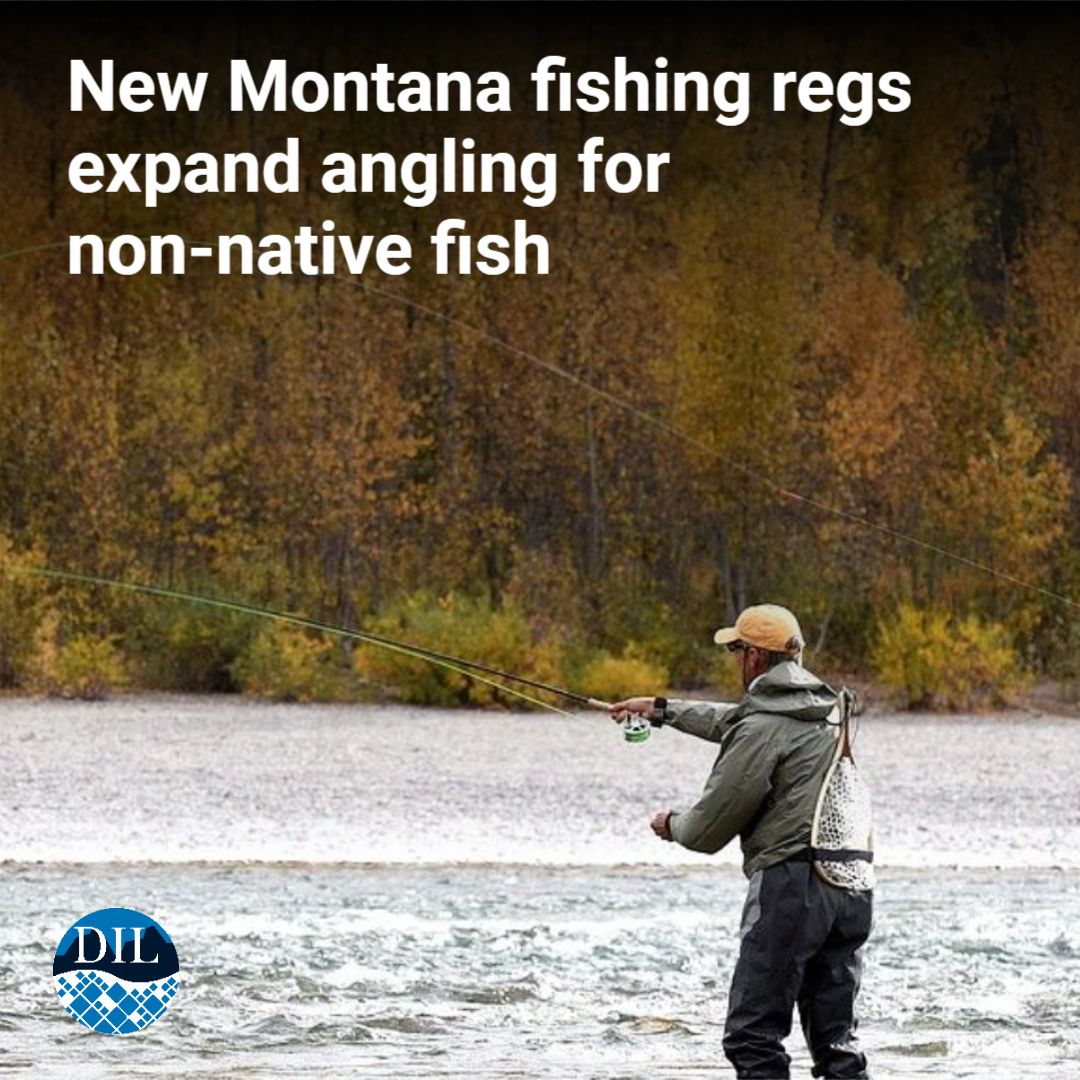 DailyInterLake's tweet photo. New angling restrictions for the upcoming season will substantially ease catch and possession limits for several non-native fish in western Montana while tightening protections for native bull trout. https://t.co/t16cOCbzq4 https://t.co/D4tCmIMcyV