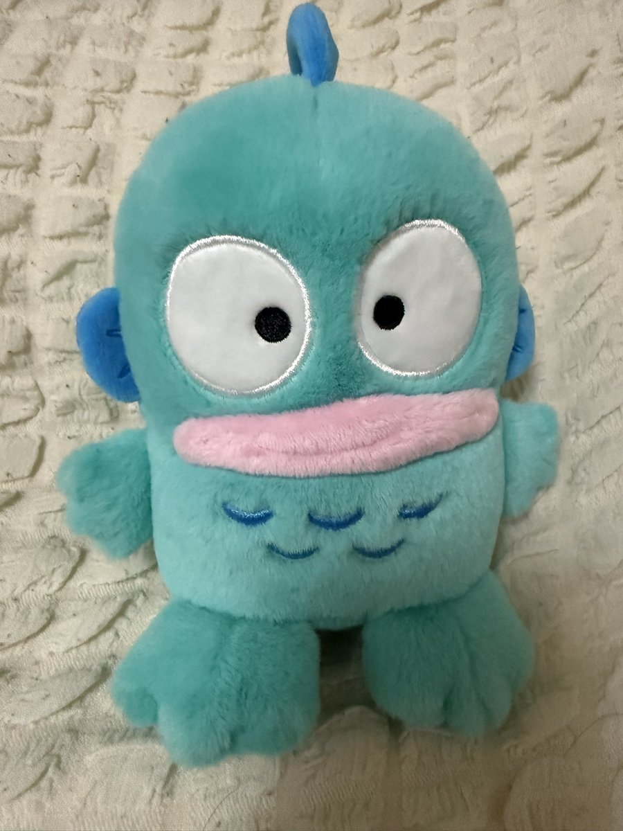 chirochan_1212's tweet photo. 今日は家族でお買い物いってきた✨
👶のファーストトイにこれがいいんじゃない？となって、夫がハンギョドンのぬい買った😂
お家で見せたら興味津々で見てた〜🥺
私は早めのバースデープレゼント買ってもらいましたゎーぃ💓 https://t.co/QOFPxTJMu2