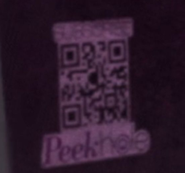 flowrenzio's tweet photo. GTA 6 is rumored to feature a sort of in-game OnlyFans called "PeekHole." #GTAVI https://t.co/ggtRboXd77