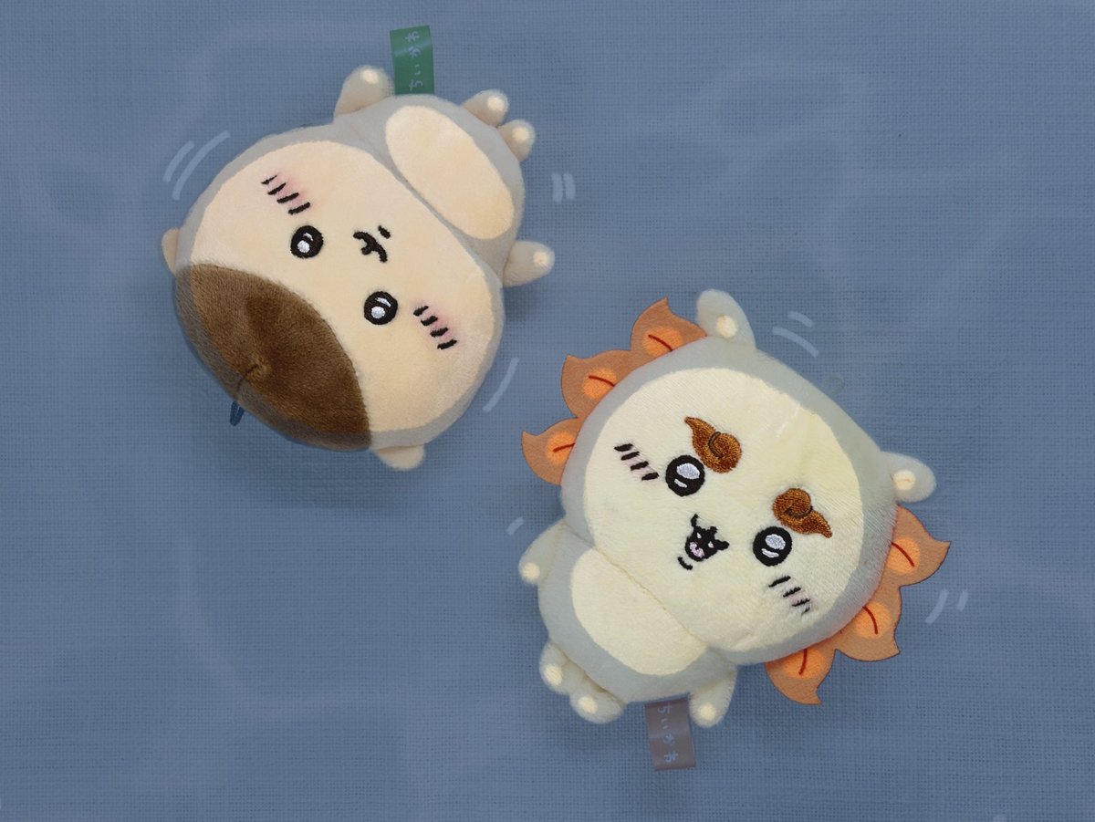 mmonjaggi's tweet photo. 정말 최고의 여행이에요! https://t.co/QHUp3MKWlh