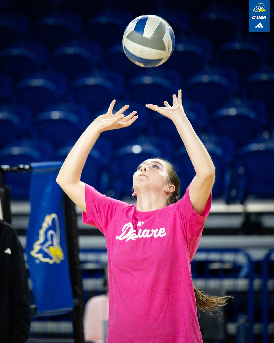 Delaware_VB's tweet photo. 🩷🎗️ https://t.co/VywR8wEei4