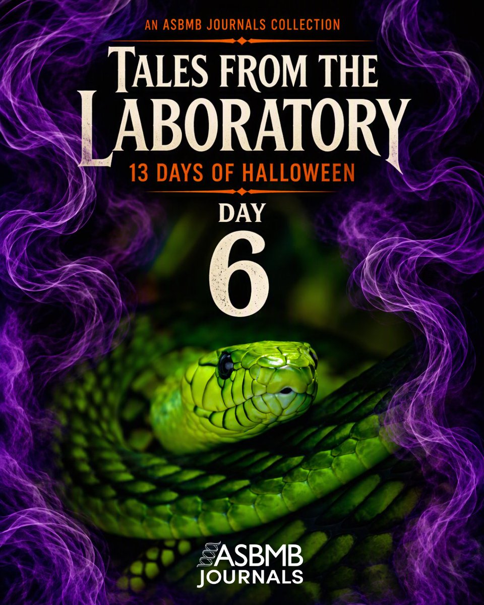 jbiolchem's tweet photo. Day 6 of #TalesFromTheLab 🐍 | Venom week begins. From the JBC archive: decoding a green mamba toxin, one amino acid at a time.
https://t.co/tnE4XMP5du
#JBiolChem #ASBMBJournals #MolecularBioscience https://t.co/vyyzQY1V6I