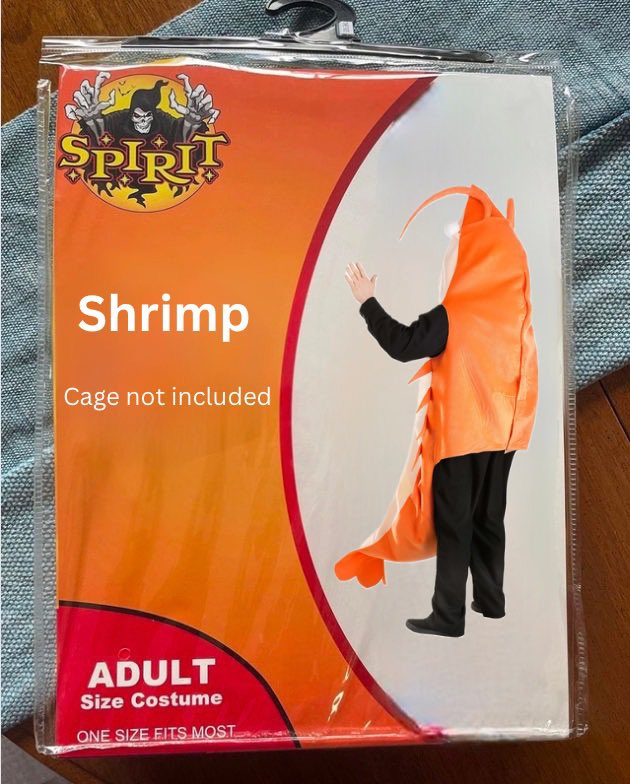 cater2cat's tweet photo. Bringing the shrimp costume back this year so you can really embrace being so small 🤏🏼 https://t.co/UVDoXfPxyh