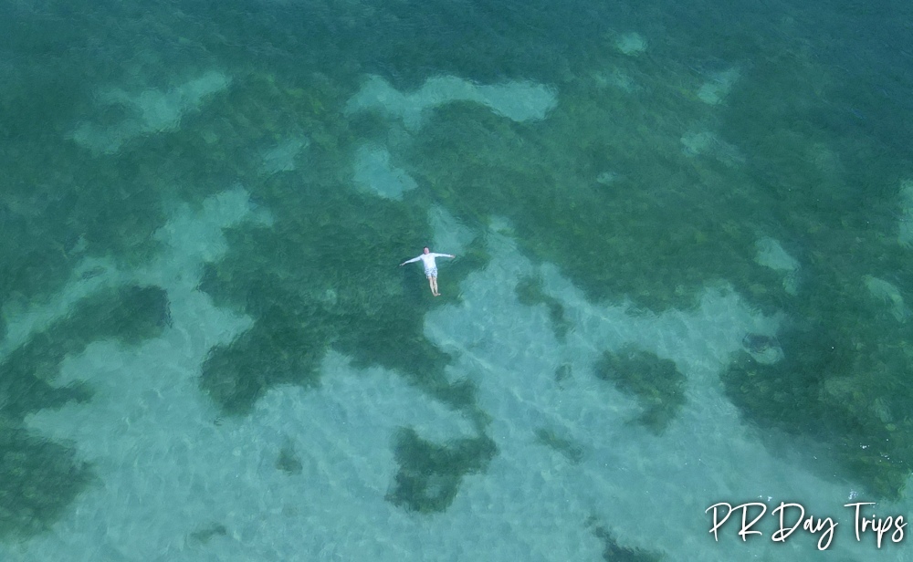 PRDayTrips's tweet photo. Buenas Tardes #PuertoRico - Floating Away (from 2022) #estaesmiisla https://t.co/cMoeSaB0Za