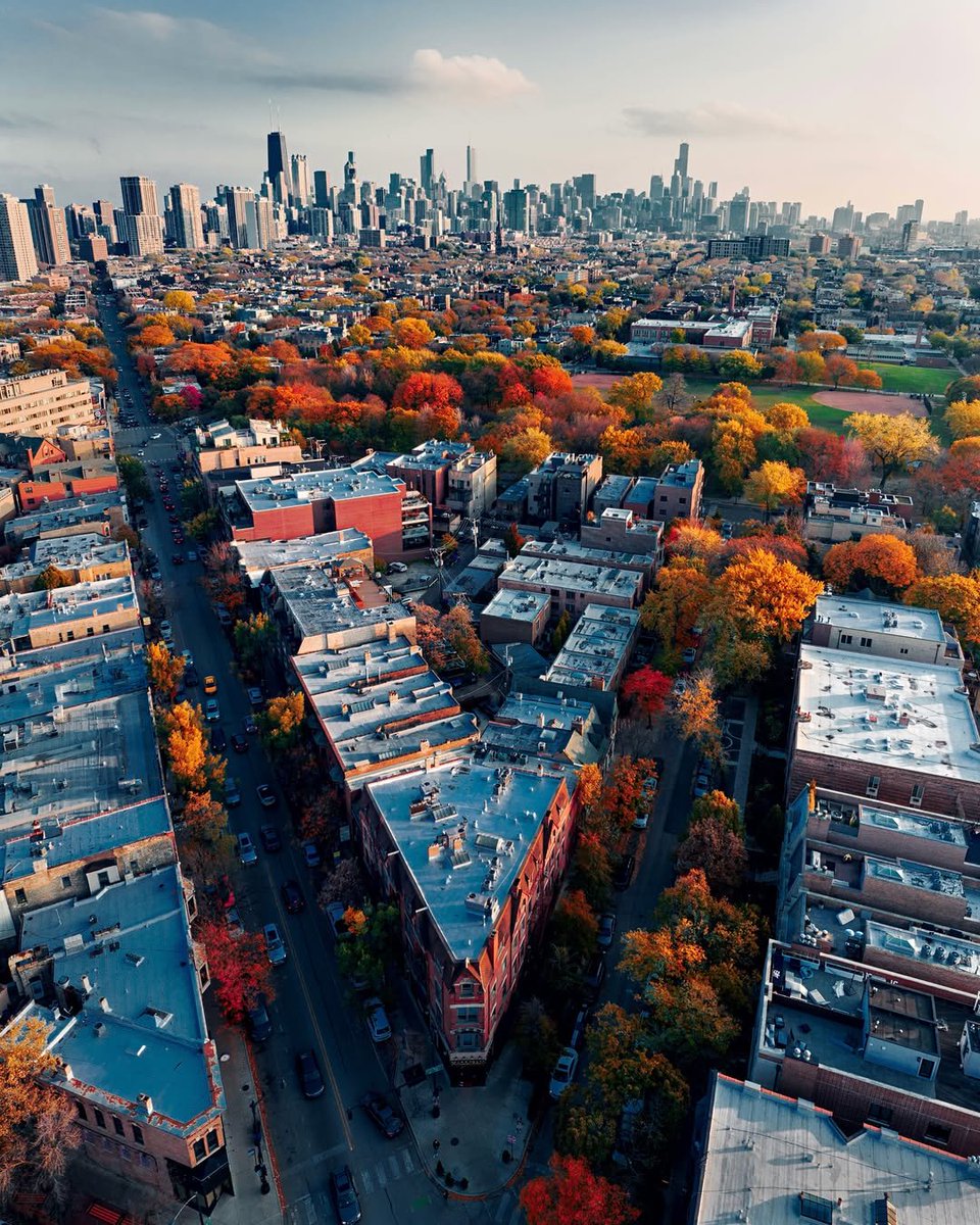 NatureRoot88's tweet photo. Chicago Illinois https://t.co/kGMQEdt4OH