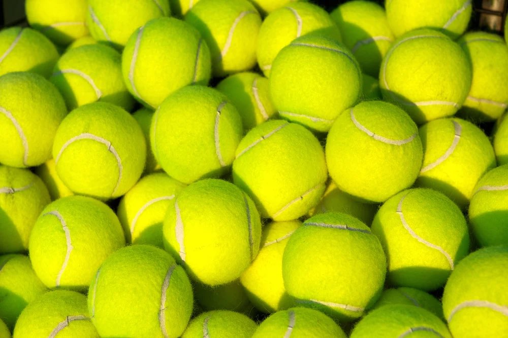 neeravout's tweet photo. 🎾🎾🎾🎾🎾🎾🎾🎾🎾🎾🎾🎾🎾🎾🎾🎾🎾🎾🎾🎾🎾🎾🎾

The amount of tennis balls there is the LEAGUE position we are fucking sat in…

That said I beg we get another tennis ball protest going this time with more fierce and aggression.
#NeeravOut #BarnsleyFC #Barnsley https://t.co/WzHrmSpCG9