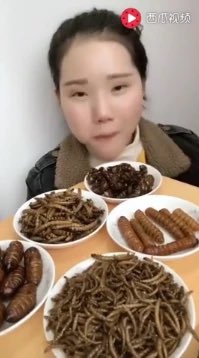 Baelor35's tweet photo. @woshiok Ya siz ne biçim mahlukatlarsınız. Biz dünyaya virüs bulaştırsak . Yabancı insanlara laf atarken iki kere düşünürdük. Siz yüzsüz oruspu çocuğu olduğunuz için . Dünyaya bir özür dileme mesajı bile vermediniz. Dünyanın bok çukuru . Yok olun . https://t.co/PMz5xrlI6R