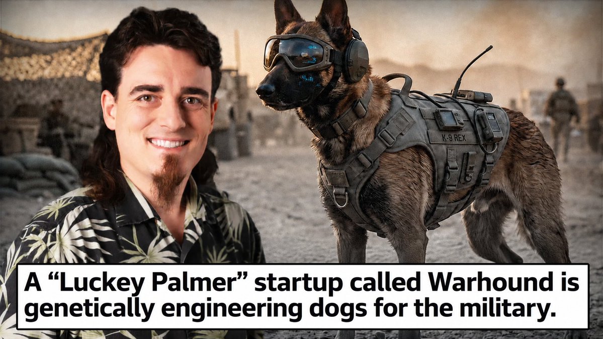 JasonBassler1's tweet photo. 🪖🐶 Geoengineering dogs for war? 

A new Luckey Palmer start up called "War Dogs" just raised $200M in seed funding to "genetically engineer high-performance" military dogs to enhance the dogs' "speed, agility, and ability to sniff out bombs."

God complex. Pentagon budget. https://t.co/jUpT3jqDwu