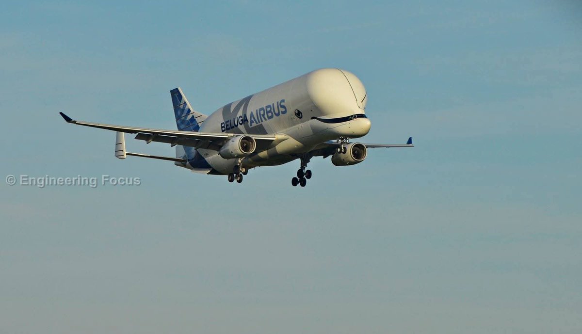 EngFocus's tweet photo. I do have some fairly decent images of the  Beluga XL, from its first trip to Broughton, but I can't find the originals 😢 https://t.co/vhDK9prb0K
