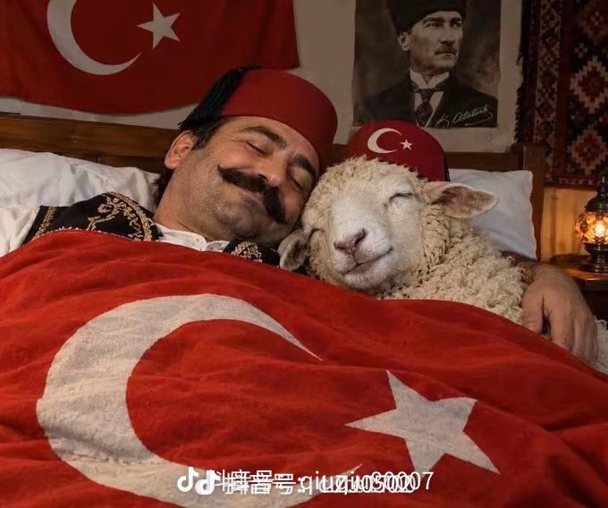 muattil's tweet photo. @okanyarbasoglu 你的全家福真好看 https://t.co/4u4jzwmjEA