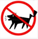 jvvuin1's tweet photo. 土耳其与狗禁止犬吠 https://t.co/KhbRKBJaOW