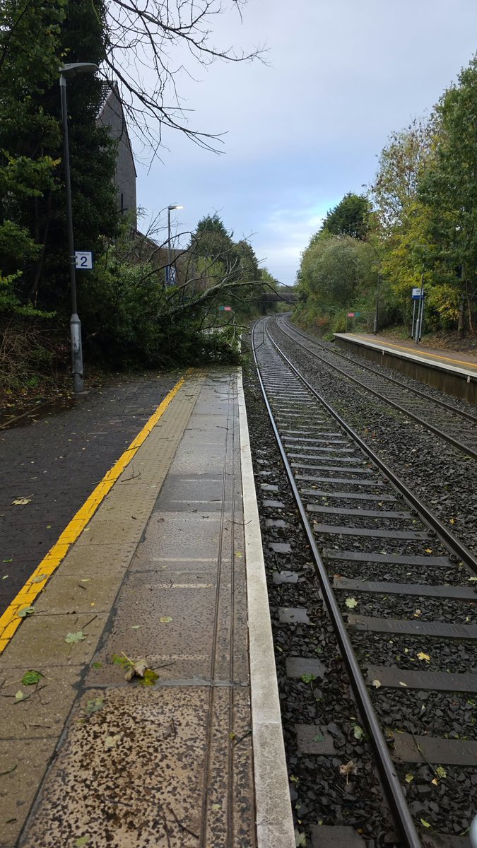 nirailways's tweet photo. #TRAIN We thought you would like to see a photo of the offending tree/branch at Lambeg folks 🌳💨
Crews are on their way and will work to get this cleared as soon as possible. 
#StormBeolo https://t.co/iQG0xlWxs8