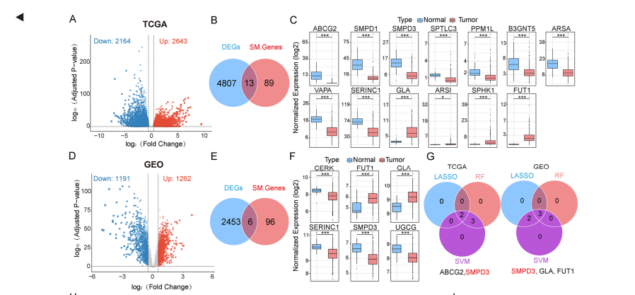 AponiaAnalytics's tweet photo. 🦉 Cancer Immunotherapy: A Week of Breakthroughs, Setbacks and New Biological Insights

October 17–24, 2026

This week brought two major clinical advances: a personalized mRNA cancer vaccine significantly reduced melanoma recurrence, while a T-cell engager sharply extended survival in aggressive lung cancer.
Other studies revealed why CAR-T cell quality, antigen presentation, and the tumor microenvironment can matter as much as immune activation itself.

🩸 1. A Personalized Cancer Vaccine Passes Its Biggest Test

Moderna and Merck's individualized mRNA vaccine, intismeran autogene, reduced melanoma recurrence or death by 42% when combined with pembrolizumab in the Phase 3 INTerpath-001 trial.

Among 1,137 patients with resected stage IIB–IV melanoma, two-year recurrence-free survival reached 82.2% versus 70.0% with pembrolizumab alone. Distant metastasis or death risk fell 38%, without a substantial increase in severe treatment-related toxicity.

The results provide major randomized evidence that vaccines targeting patient-specific tumor mutations can improve clinical outcomes, not merely generate immune responses.
Overall-survival data remain immature, and personalized manufacturing presents practical challenges.

Source: https://t.co/FHlL1f9wPs

🩸 2. T-Cell Engagers Nearly Double Survival in Lung Cancer

The Phase 3 DeLLphi-305 trial showed that adding Amgen's DLL3-targeted T-cell engager tarlatamab to durvalumab maintenance therapy extended median survival from 12.7 to 21.1 months in extensive-stage small-cell lung cancer.

Among 563 patients, the combination reduced mortality risk by 58% and increased progression-free survival from 1.9 to 7.4 months.
Tarlatamab recruits T cells directly to cancer cells, complementing durvalumab's PD-L1 blockade.

The survival advantage is substantial, but cytokine-release syndrome occurred in 49.6% of patients, predominantly grade 1–2. Grade ≥3 treatment-related adverse events affected 20.9% versus 10.8%.
These results could reshape first-line maintenance treatment, subject to regulatory review.

Source: https://t.co/1TRq9VtseZ

🩸 3. Bladder Cancer Treatment Takes a Major Step Forward

The Phase 3 VOLGA trial demonstrated a significant survival advantage with enfortumab vedotin plus durvalumab in patients with muscle-invasive bladder cancer unable or unwilling to receive cisplatin.

Among 462 patients, the combination reduced the risk of progression, recurrence or death-related events by 49%. Two-year event-free survival reached 64% versus 45%, while overall survival was 78% versus 69%.

The strategy combines targeted cytotoxic delivery through an antibody–drug conjugate with PD-L1 checkpoint inhibition.

However, grade 3–4 adverse events occurred in 64% versus 44%. The results support a new perioperative option, although comparisons with other modern regimens remain unavailable.

Source: https://t.co/VLXeYEzs9O

🩸 4. CAR-T Quality May Matter More Than Expansion

A multicenter study involving 783 lymphoma patients found that CAR-T products enriched in naïve-like CCR7⁺CD45RA⁺ T cells were associated with significantly longer progression-free survival.

In the primary cohort of 580 patients receiving axi-cel, these cells predicted better outcomes (HR 0.46; p=9.8×10⁻⁵), independently of tumor burden, inflammation and CAR-T expansion. An additional 203 patients confirmed the association.

More previous treatment lines were linked to fewer naïve-like cells.
The implication challenges a familiar assumption: expanding more CAR-T cells may be less important than preserving cells capable of sustained antitumor activity.

Whether manufacturing changes that enrich these populations actually improve survival remains unproven.

Source: https://t.co/GAN67wP3OV

🩸 5. A New Approach to Severe Immunotherapy Toxicity

Researchers in Germany and Switzerland reported promising results using extracorporeal photopheresis to treat severe immune-related complications resistant to corticosteroids.

The technique treats collected immune cells with a photosensitizing agent and ultraviolet light before returning them to circulation.

In a prospective Phase 1b/2 study involving 30 patients, the response rate among evaluable inflammatory complications reached 96.3%, including responses in colitis, hepatitis and dermatitis.

Treatment reduced inflammatory T-cell activity, including granzyme expression and interferon-γ/TNF signaling. No treatment-related serious adverse events occurred.

The potential advantage is controlling dangerous inflammation without escalating systemic immunosuppression. However, the uncontrolled study cannot establish comparative efficacy or confirm preservation of antitumor immunity.

Source: https://t.co/xDE6iBNXhy

🩸 6. Selective T-Cell Activation Shows Activity in Resistant Tumors

Invikafusp alfa, an experimental bispecific antibody, activates selected T-cell populations expressing Vβ6 or Vβ10 T-cell receptors rather than broadly stimulating the immune system.

In the Phase 1/2 START-001 trial, 4 of 27 patients (14.8%) treated at biologically optimal doses achieved objective responses, while 59.3% experienced disease control.

Responses included microsatellite-stable colorectal cancer and PD-L1-negative lung cancer, where conventional checkpoint inhibition often has limited efficacy.
The treatment expanded memory-like target T cells without broadly activating unrelated populations.

This demonstrates preliminary clinical activity, not established benefit. Patient numbers remain small, durability is uncertain, and cytokine-release syndrome remains a risk.

Source: https://t.co/2KupIGrKnT

🩸 7. Strong Vaccine Immunity Fails to Improve Pancreatic Cancer Outcomes

The randomized Phase 2 AMPLIFY-7P trial tested camupepimut (ELI-002 7P), an off-the-shelf vaccine targeting mutant KRAS, in 144 patients with pancreatic cancer after standard treatment.

Despite vaccine-specific T-cell responses in 98.9% of evaluable patients, the primary disease-free survival endpoint was missed: 23.8 versus 21.2 months (HR 0.85; p=0.5329).

Subgroup analyses suggested possible benefit in patients without detectable circulating tumor DNA (HR 0.51) or prior radiotherapy (HR 0.59).
The contrast is striking: nearly universal immune activation did not translate into a significant overall clinical benefit.

Vaccination may work better against minimal residual disease, but subgroup signals remain exploratory and clinical efficacy is unproven.

Source: https://t.co/18SHt23Nqc

🩸 8. Dual Checkpoint Blockade Targets Difficult Biliary Cancers

Chinese investigators reported Phase 2 results for cadonilimab, a bispecific antibody blocking PD-1 and CTLA-4, combined with gemcitabine and cisplatin in advanced biliary tract cancer.

Among 61 patients, the objective response rate reached 55.7%, with disease control in 85.2%. Median progression-free survival was 8.0 months and overall survival 15.6 months.

Dual checkpoint blockade could provide broader immune activation than PD-1/PD-L1 inhibition alone.
However, grade ≥3 adverse events occurred in 68.9%, including severe immune-related events in 18%.

The single-arm design cannot establish superiority over approved chemoimmunotherapy. Randomized comparisons must determine whether increased immune stimulation produces a meaningful survival advantage.

Source: https://t.co/aLKEXWZ2Vq

🩸 9. Tumors Can Hide Antigens Without Losing Them

Researchers at Southern Medical University identified SMPD3, an enzyme involved in sphingolipid metabolism, as an unexpected regulator of tumor antigen presentation.

In colorectal cancer models, increasing SMPD3 enhanced MHC-I expression at the cell surface without substantially increasing total MHC-I abundance.

The mechanism involved intracellular trafficking rather than greater production of antigen-presenting proteins.

SMPD3 overexpression increased CD8 T-cell infiltration, suppressed tumor growth in mice and improved experimental PD-1 blockade responses.
This reveals another route to immune escape: cancer cells may retain antigen-presentation machinery but fail to deliver it to their surface.

The findings are preclinical. SMPD3 is not yet a validated therapeutic target or clinical biomarker.

Source: https://t.co/2J4IGGJiOI

🩸 10. Macrophages May Awaken Sleeping Cancer Cells

French researchers uncovered a mechanism through which macrophages can reactivate dormant breast cancer cells.

In three-dimensional tumor models, macrophage-derived MMP9 and lysyl oxidase (LOX) remodeled the surrounding extracellular matrix, activating EGFR/HER2 signaling and pushing dormant cancer cells toward renewed proliferation.

Remarkably, this signaling occurred without conventional receptor-ligand activation.
The finding links macrophage activity, tissue remodeling and metastatic recurrence through a mechanism distinct from classical checkpoint-mediated immune suppression.

It raises the possibility that preventing relapse may require controlling the tumor's surrounding tissue environment, not just targeting residual cancer cells.

The evidence comes from laboratory models. Its role in human metastatic recurrence and potential for therapeutic intervention remain unproven.

Source: https://t.co/Z4TfhFEx9b