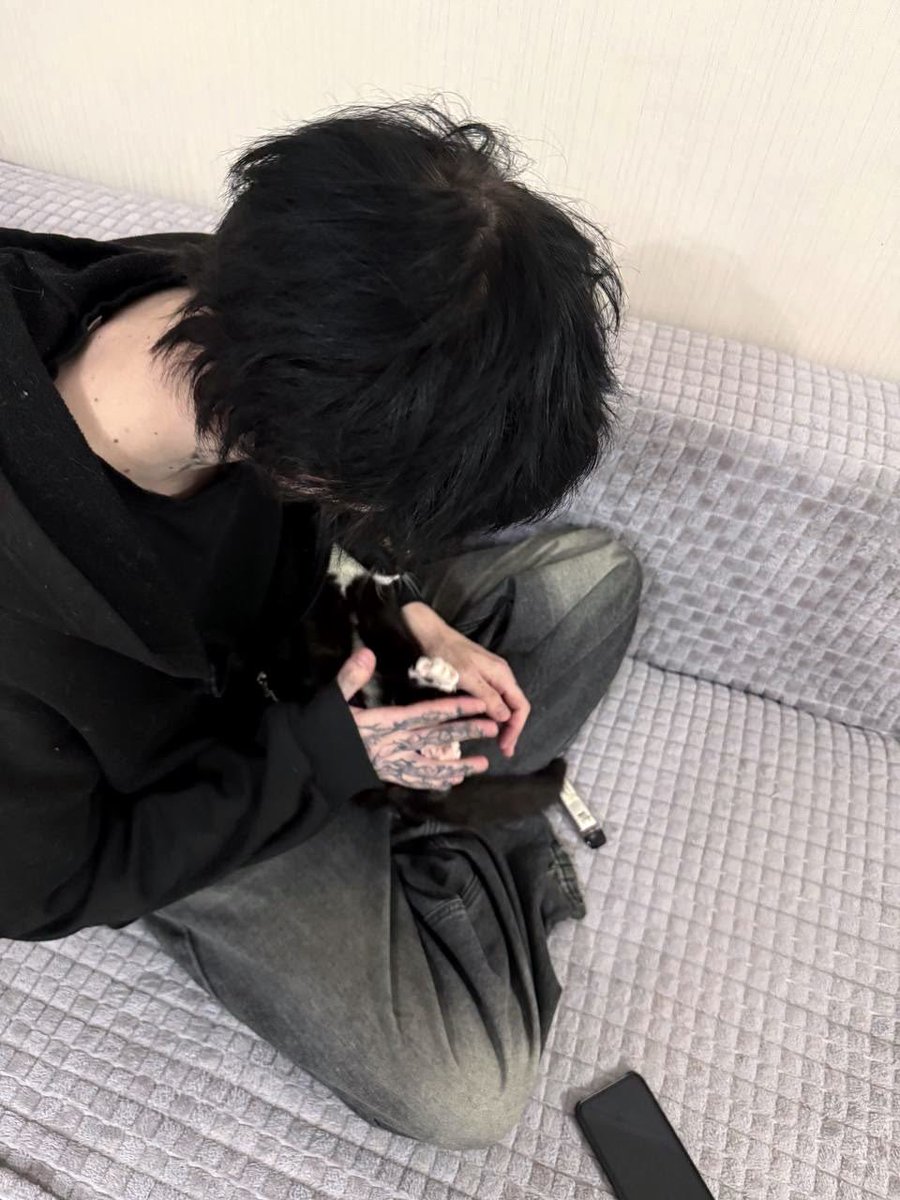 lilsorkitten's tweet photo. kitty😼 https://t.co/jl6WRyziP1