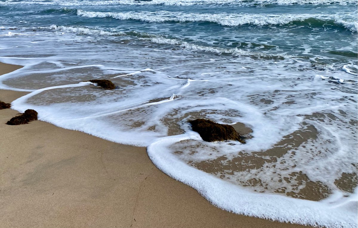 HONO2517's tweet photo. [浜に打ち上げられた成形直放の物、波に揺られて風景の一部になる] https://t.co/IPwp21cX4F