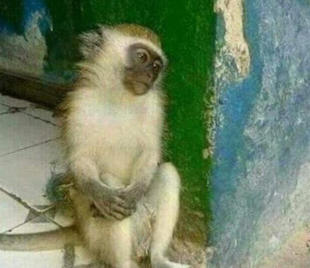 Godwin_n11's tweet photo. Ase Abantu mufite budge ngo murahembwa wee???? Nese Njyewe musk anziza iki sha wee😭😭😭 https://t.co/UAmPZKhQu5