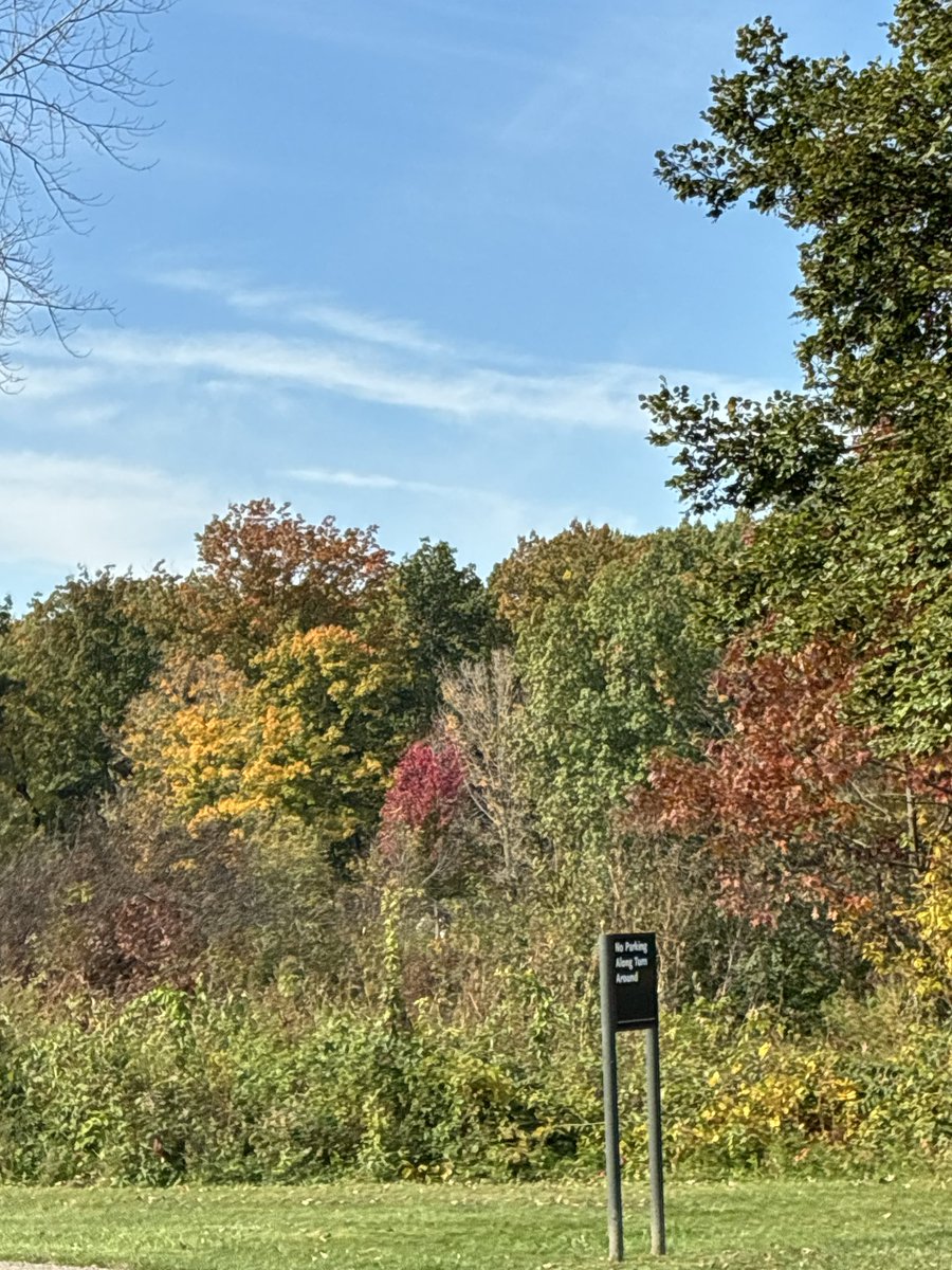 1Seesthetruth's tweet photo. Beautiful fall colors in Mettawa Illinois https://t.co/ua7sswOFYt