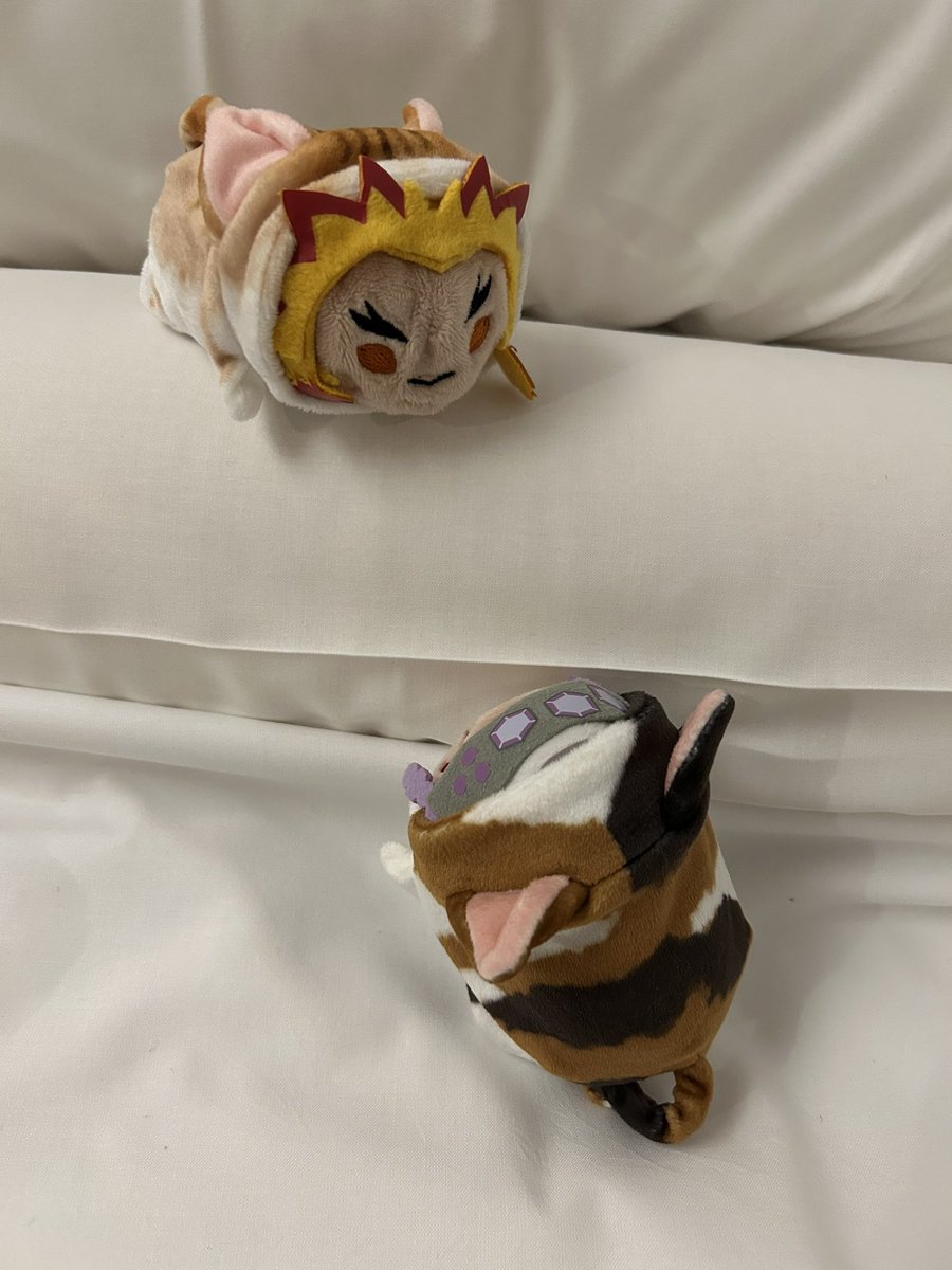 nazunaju's tweet photo. まだまだ寝れないけど、君たちは先に寝てちょうだいね
今日ね、右の子達をお迎えしてしまったの。うちのよわそ宇よりも弱そ宇な子だったかさ。保護しなきゃねって。そして相方にとのる獄さんもお迎えしたら、🔥先生だった！ビックリ‼️ https://t.co/HNun9VWSNZ