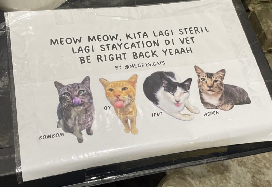 4hartin's tweet photo. @happys0da @pypypyu Ini nama2 mereka Kak, disteril sama mendes.cats 😄. Tapi sayangnya Oy sudah berpulang 🥺 https://t.co/v11PZyzR2p