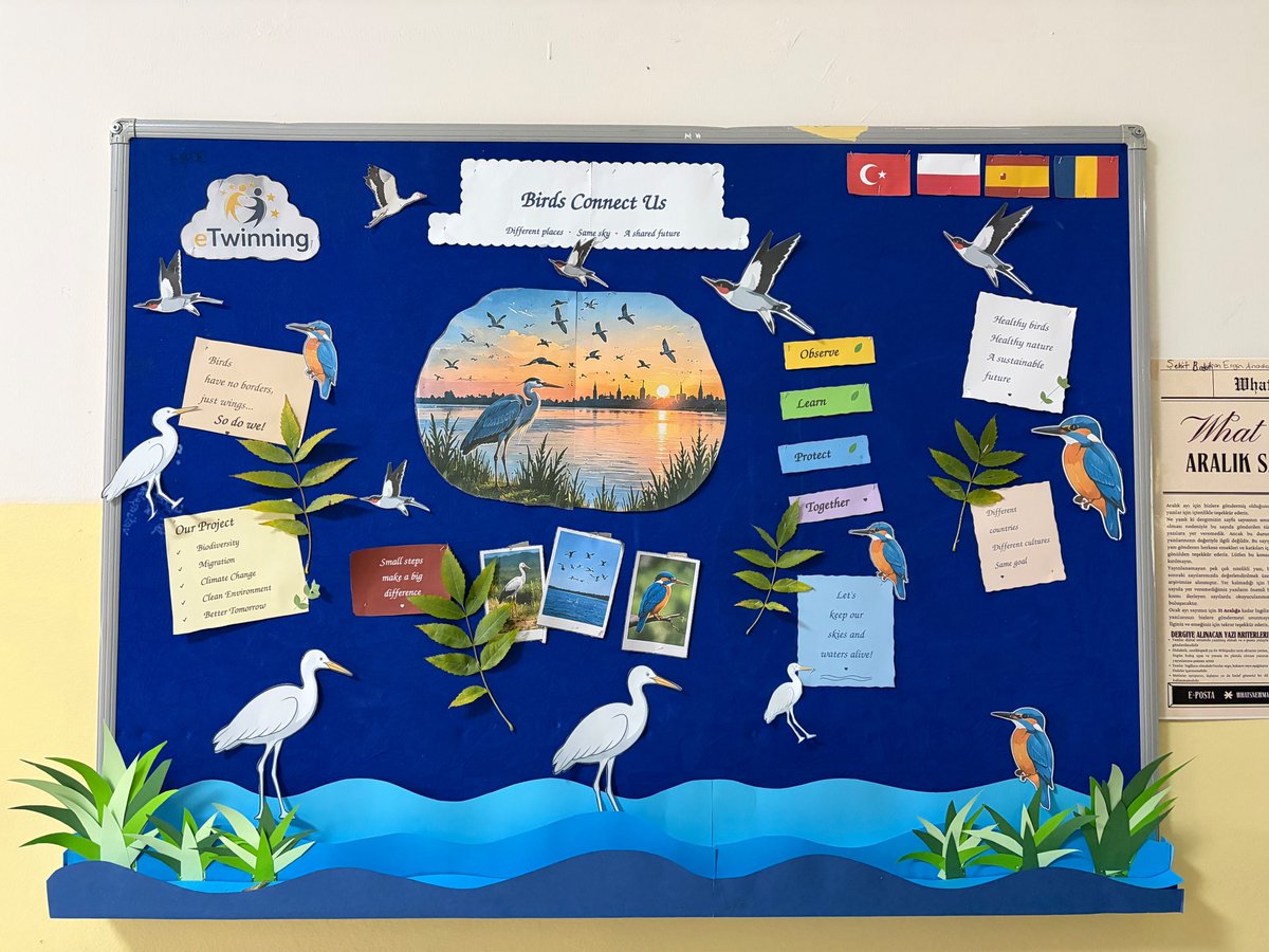 RGAL_34's tweet photo. Okulumuzun eTwinning projesi çalışmaları kapsamında, Biyoloji öğretmenimiz Özlem Gündüz’ün koordinatörlüğünde yürütülen “Birds Connect Us” projesi çalışmaları çerçevesinde, Matematik Öğretmenimiz Aybike Dereli Gülüm ve ekibinin hazırladığı panomuz tamamlanmıştır. https://t.co/oQcxniip1p