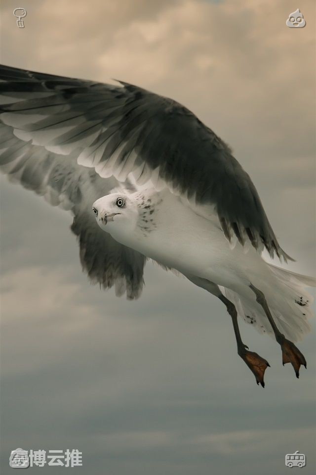 melonlesslord's tweet photo. Make each day of your life brighter. You can begin your journey of growth anew at any age or stage in life. It is never too late to chase forgotten dreams, form new habits, and write the next chapters of your own unique life story. https://t.co/9LwmzbNW1z