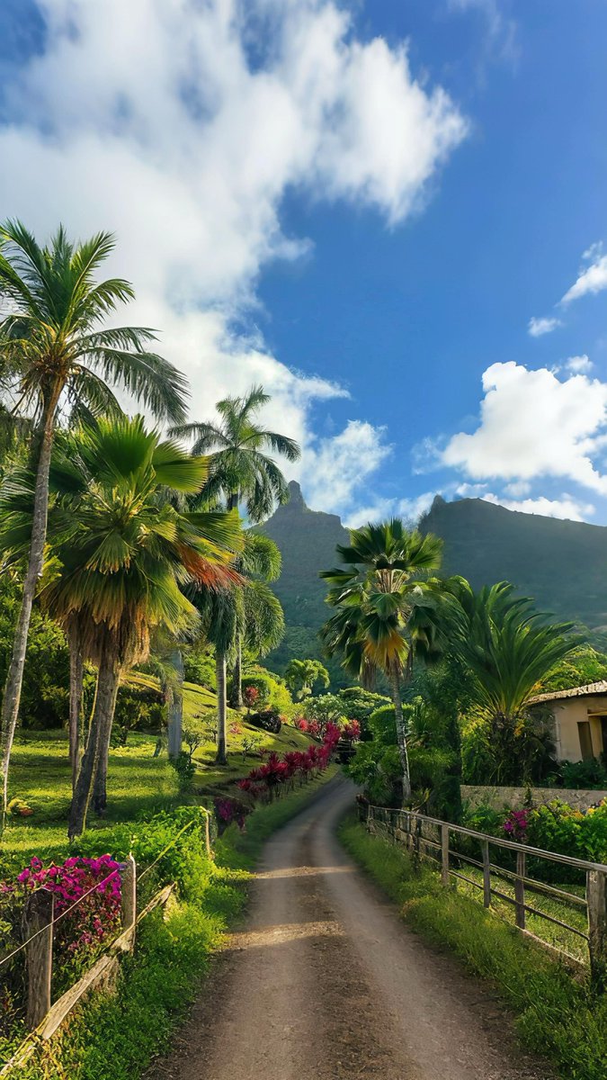 viewsoff tweet picture
