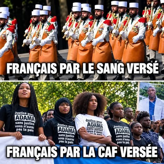 FrLiBerTe55's tweet photo. @alainpaulweber https://t.co/0cSPXw8Zn7