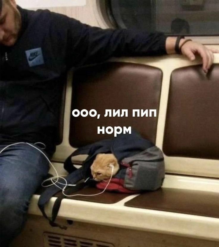 slivdic22's tweet photo. https://t.co/N4wa9W4lId